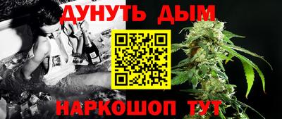 МДПВ Бийск