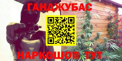 МДПВ Бийск