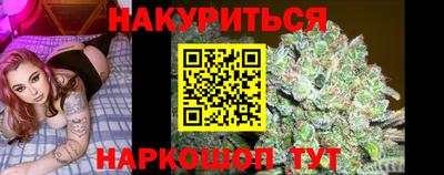 МДПВ Бийск