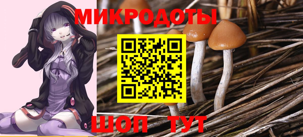 Галлюциногенные грибы Cubensis Заволжье
