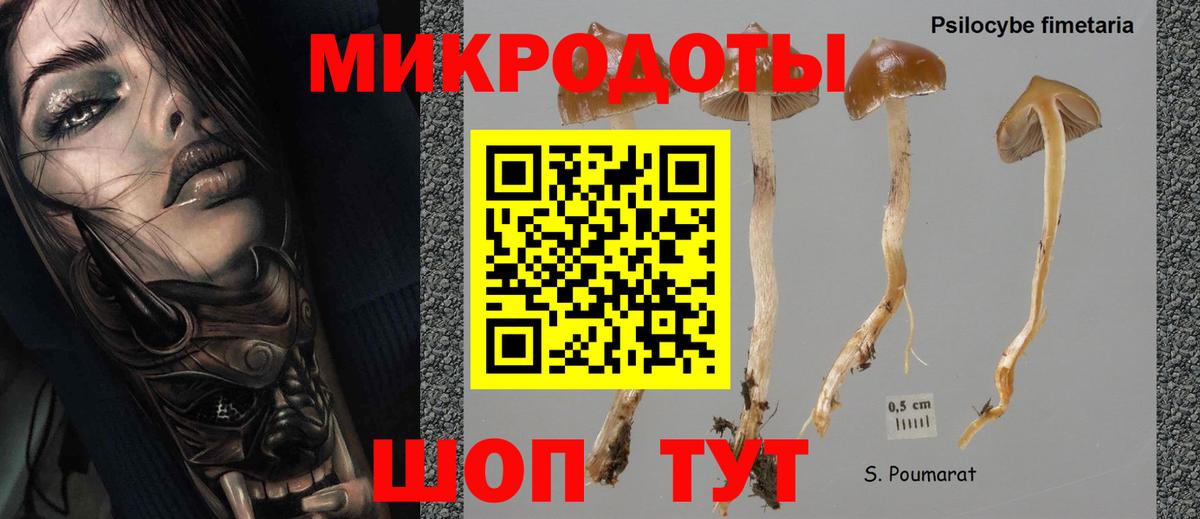Галлюциногенные грибы мухоморы  Вход с VPN  купить наркоту  Заволжье 